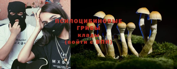 apvp Володарск