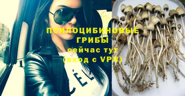 apvp Володарск