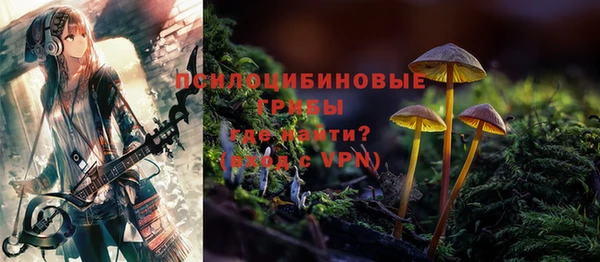 прущие грибы Верхнеуральск