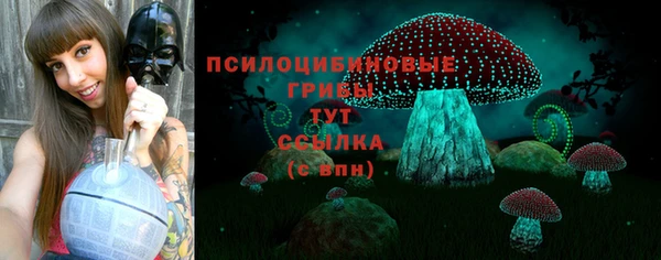 ALPHA-PVP Верхний Тагил