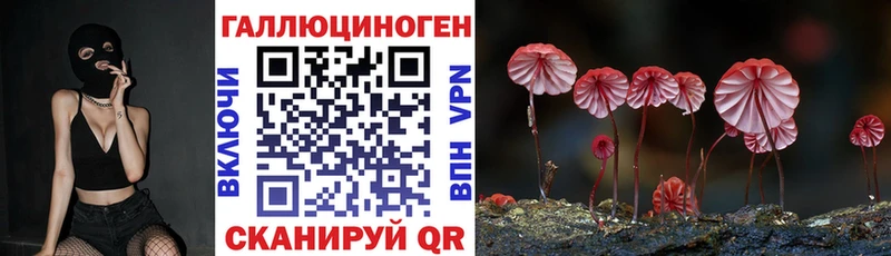 Купить закладки  Межгорье  Псилоцибиновые грибы Psilocybe 